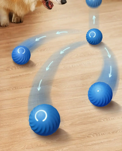 Smart Dog Toy